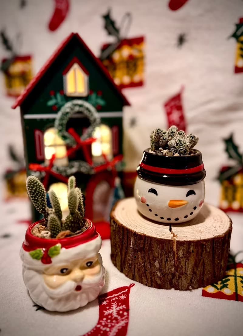 【Pinkoi瘋設祭限定】聖誕專屬_聖誕植感小陶盆系列