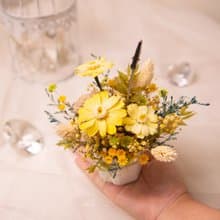 【暖暖】 永生花 乾燥花 擴香小盆花 / 共5款 / 開幕 新居 辦公室