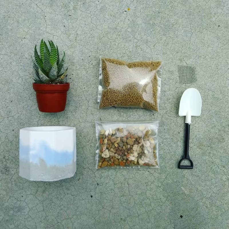 泥盆種植體驗材料包