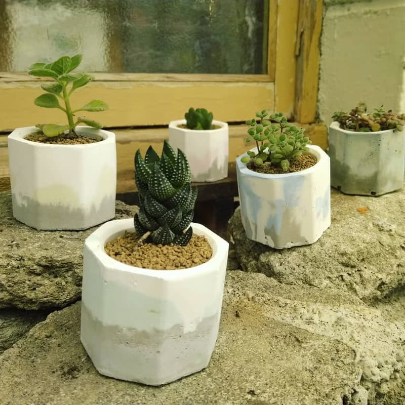 泥盆種植體驗材料包