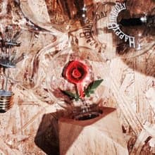 【嘿!送你玫瑰~】福袋 禮盒