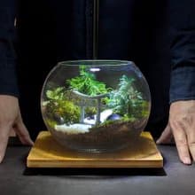 侘寂之徑 / 手工微景觀生態盆