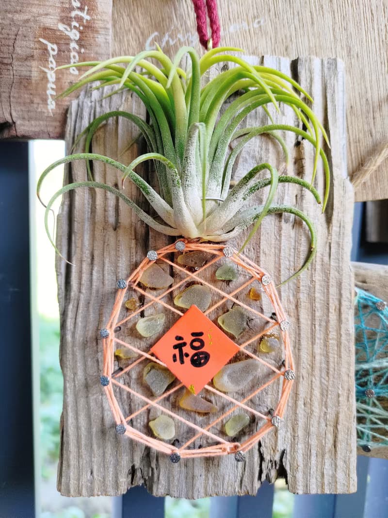【體驗】台中 空鳳釘線畫體驗 (一人成團)