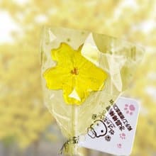 水晶棒棒糖 黃櫻花 生日 畢業 婚禮小物
