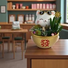 【元寶招財貓】 多肉仙人掌組合盆栽 開幕新居喬遷升官送禮