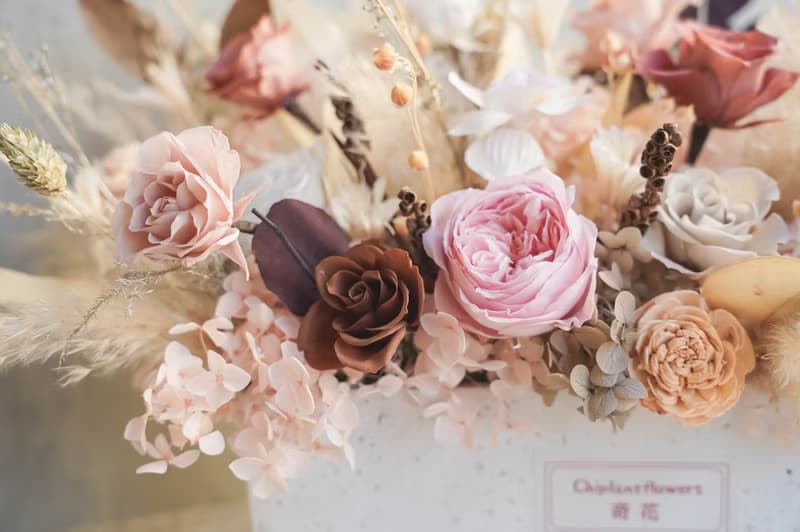 【竒花】大器澎湃永生乾燥盆花 開幕 喬遷 升遷