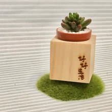 迷你松木磁鐵盆栽 手寫系列 好好生活