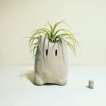 水泥小精靈-小耳