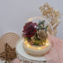 情人節禮物/氛圍感永生花夜燈/酒紅色系