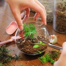 高雄鹽埕【裡外之間】玻璃生態瓶・微景觀植物課程