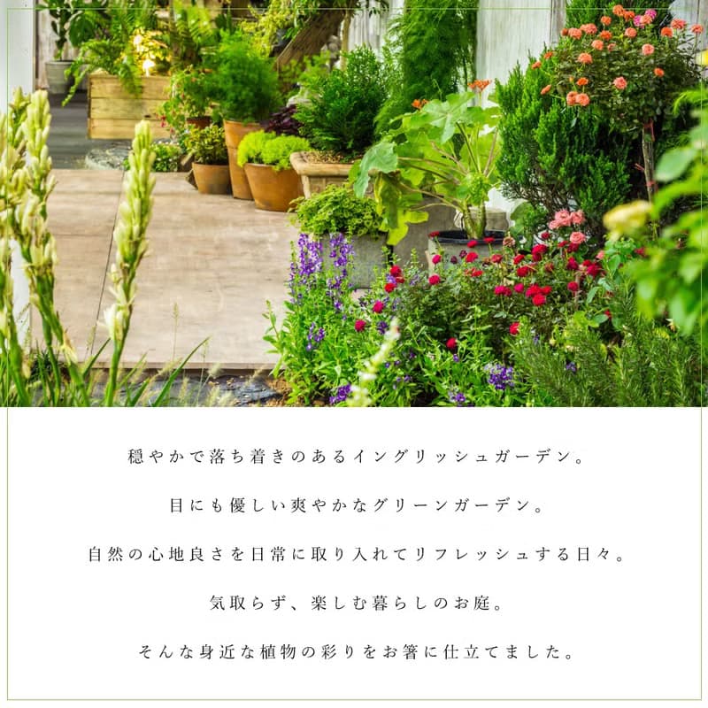 Garden Chopsticks 23cm with Clear Case Natural Wood Cutlery Gift Present Japan