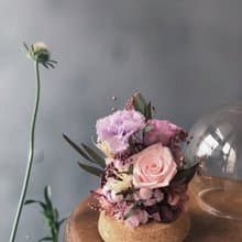畢業畢業花禮【永生花圓球玻璃罩盅】康乃馨永生花