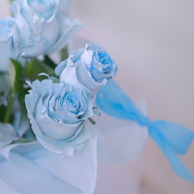 2025七夕 情人節藍色 韓式花束  生日花束 女友禮物