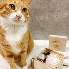 (艾沐手工製作)高雅質感超萌貓掌擴香石木質禮盒