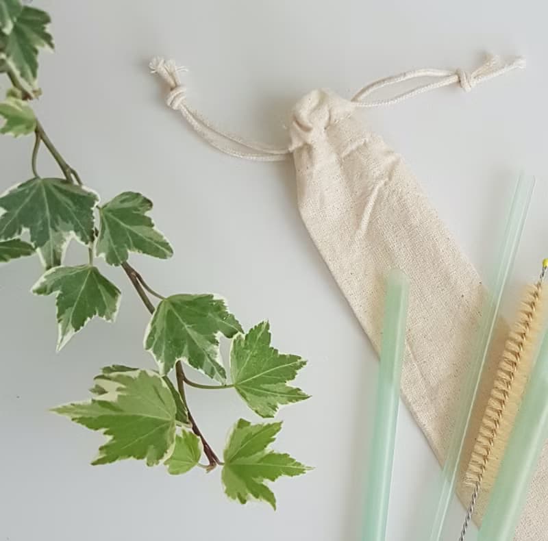 限時優惠-FunXinストロ放心生醫級環保吸管-單購收納袋