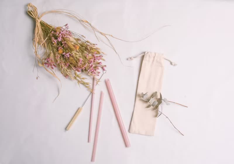 限時優惠-FunXinストロ放心生醫級環保吸管-單購收納袋