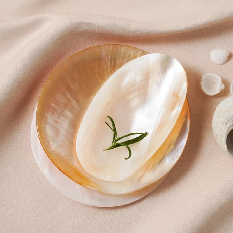 飾品盤【珍珠母貝 橢圓盤】澳洲天然貝殼 | 生日
