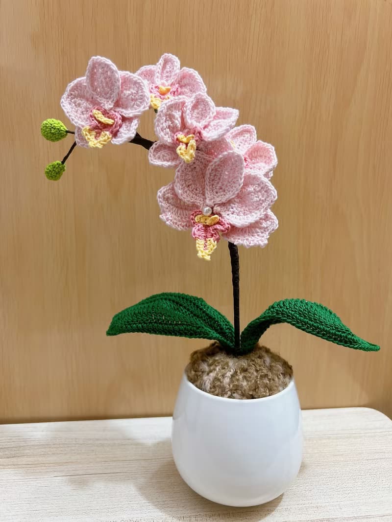 單支蝴蝶蘭擺設