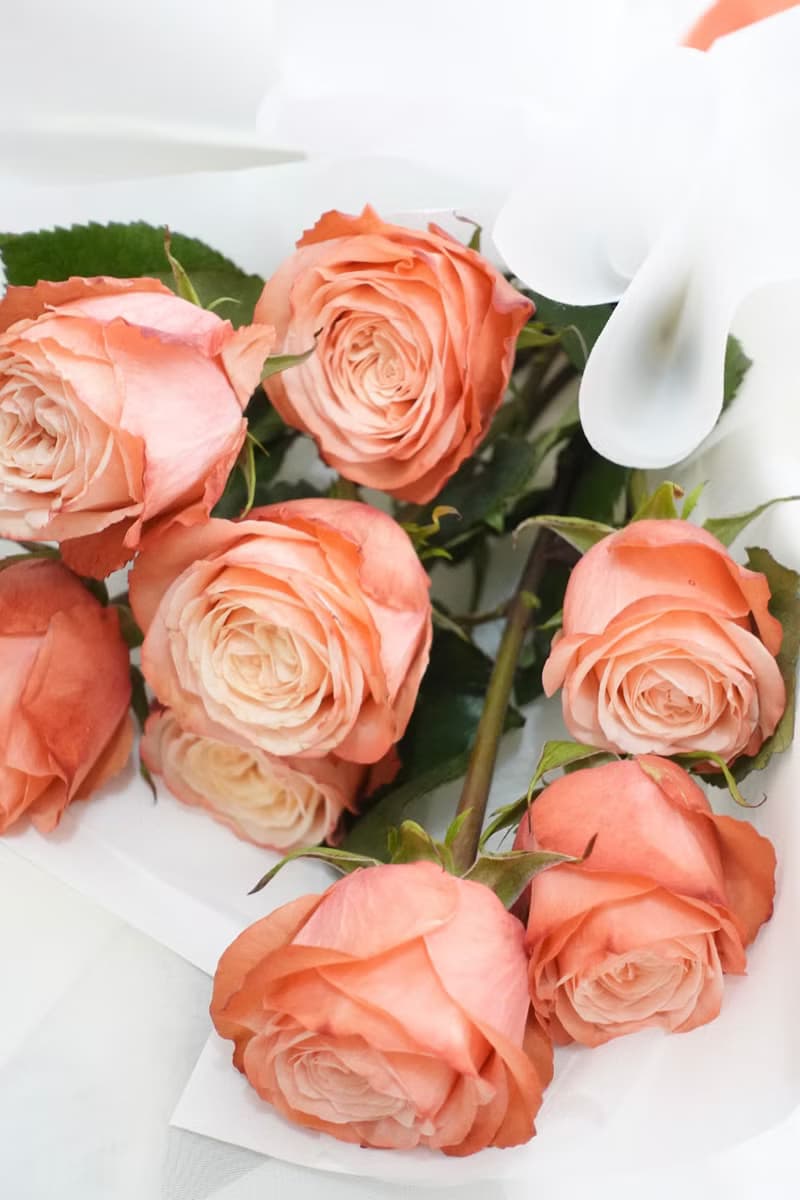 水蜜桃玫瑰花束 生日花束 求婚花束 女友禮物