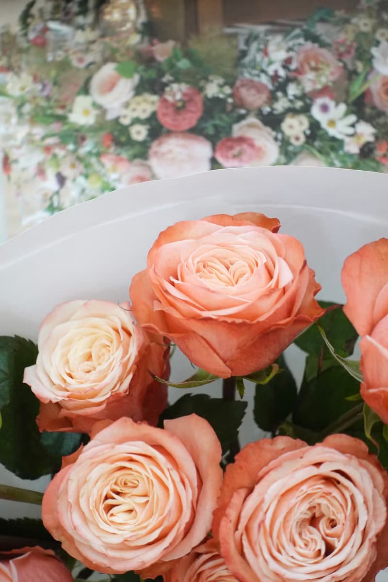 水蜜桃玫瑰花束 生日花束 求婚花束 女友禮物