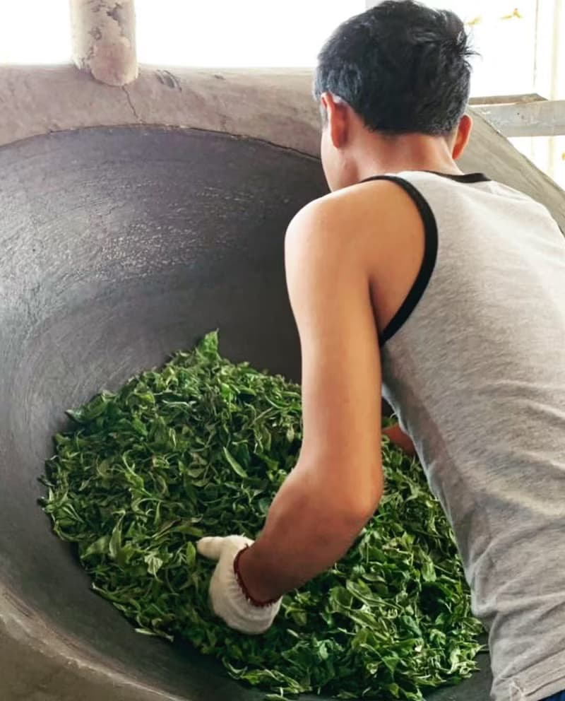 【百年古樹茶】2019年雲南曼糯山生普洱茶 生普 357g 普洱茶餅