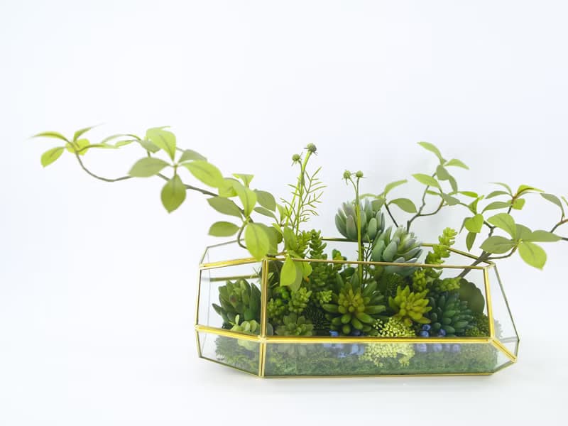 多肉植物溫室生態玻璃 免運專人配送限雙北市 其餘地區需補運費