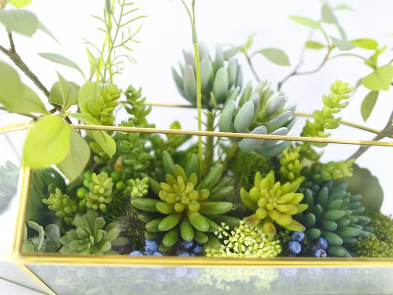 多肉植物溫室生態玻璃 免運專人配送限雙北市 其餘地區需補運費