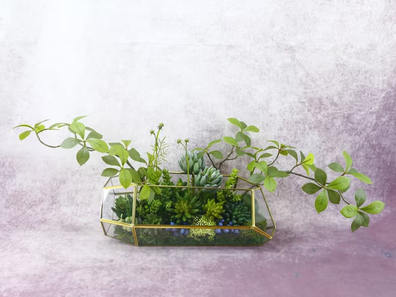 多肉植物溫室生態玻璃 免運專人配送限雙北市 其餘地區需補運費