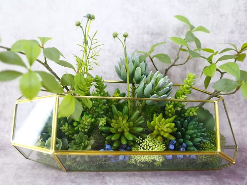 多肉植物溫室生態玻璃 免運專人配送限雙北市 其餘地區需補運費