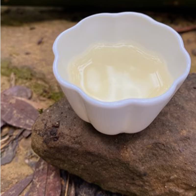 【弗貝多】過年獻禮 | 天鑫有機茶葉禮盒 包種茶1盒+蜜香紅茶1盒
