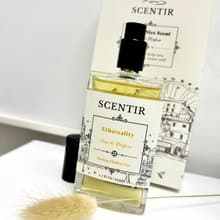 【水生柑橘調】空靈水EDP - 50ml