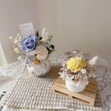【永生乾燥盆花】永生花 開幕盆花 生日花禮 擴香小盆花 桌型小物