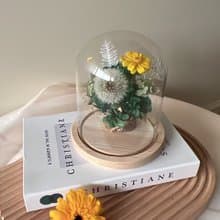 逗留 永生花不凋花蒲公英盅罩 交換禮物 聖誕禮物 紀念