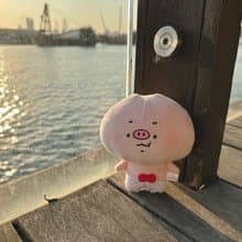 【現貨】豚豚TunTun | 底褲豚公仔 | 畢業生日公仔 | 粉紅 | 原創