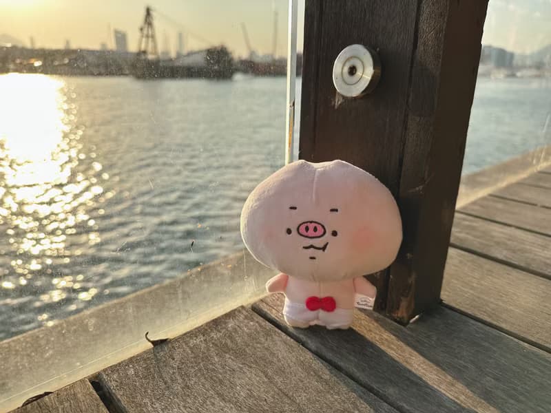 【現貨】豚豚TunTun | 底褲豚公仔 | 畢業生日公仔 | 粉紅 | 原創