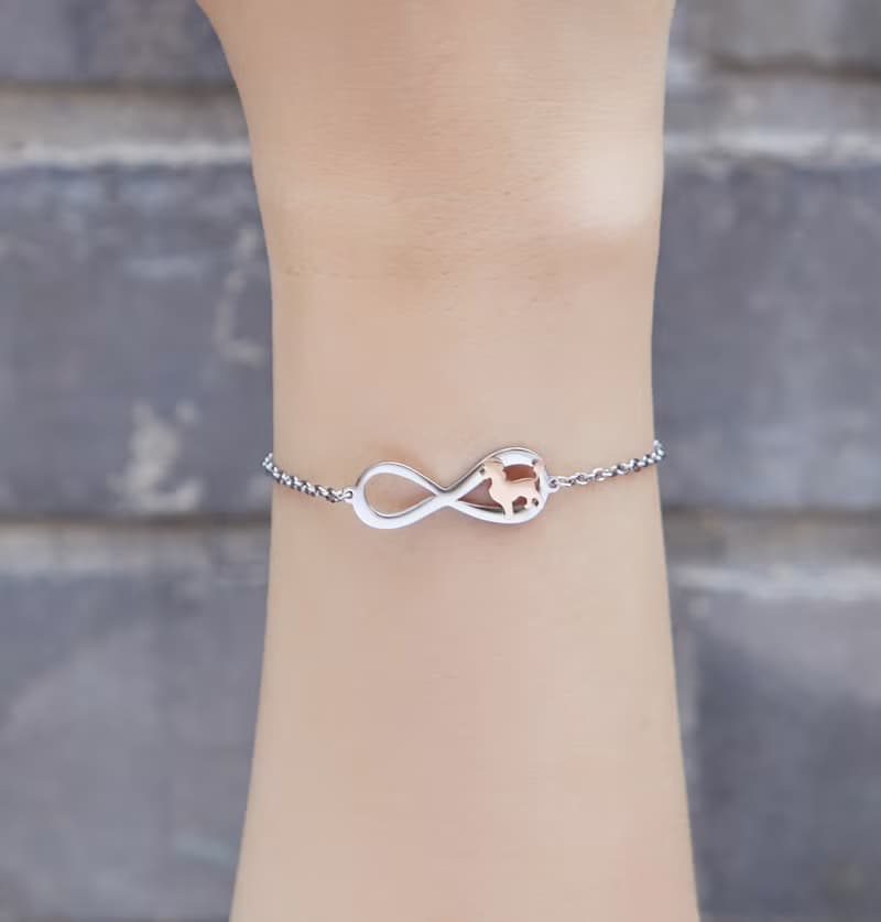 貴賓狗手鍊 - 永恆與狗系列-抗敏醫療鋼