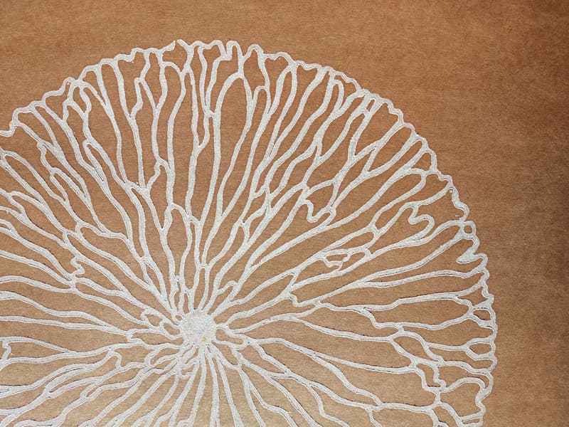 White abstract flower Linocut print Original artwork Living room wall art Nature