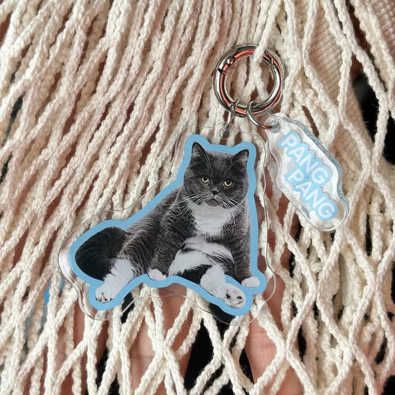 買3贈1 专属照片定制 宠物压克力钥匙扣 定制狗猫包挂 钥匙圈