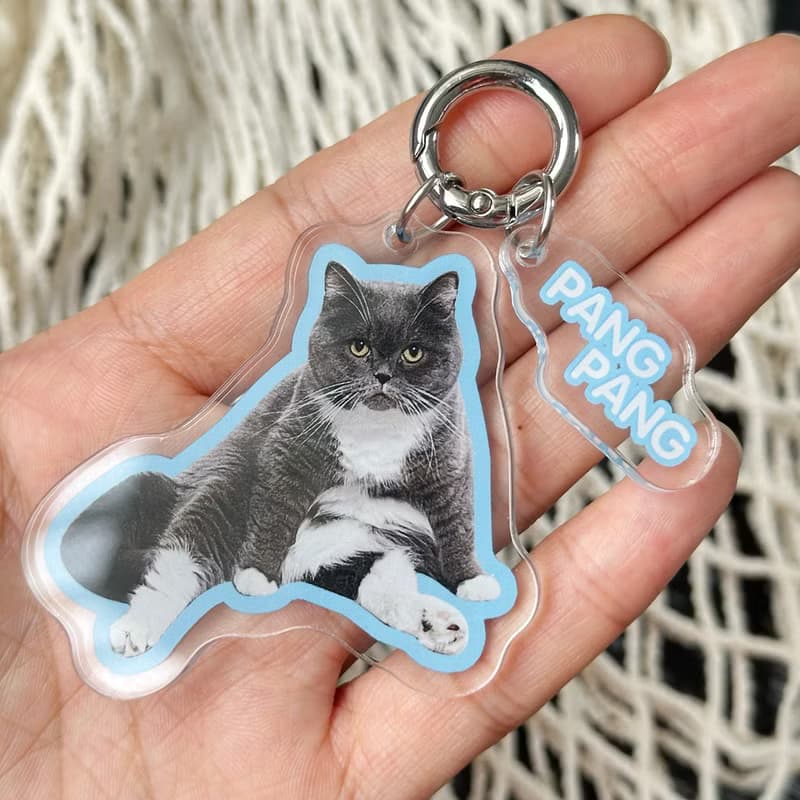 買3贈1 专属照片定制 宠物压克力钥匙扣 定制狗猫包挂 钥匙圈