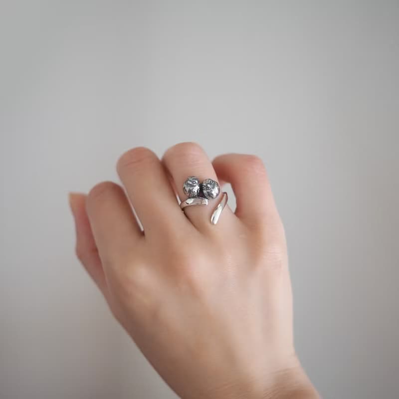 2羽のルリビタキリング