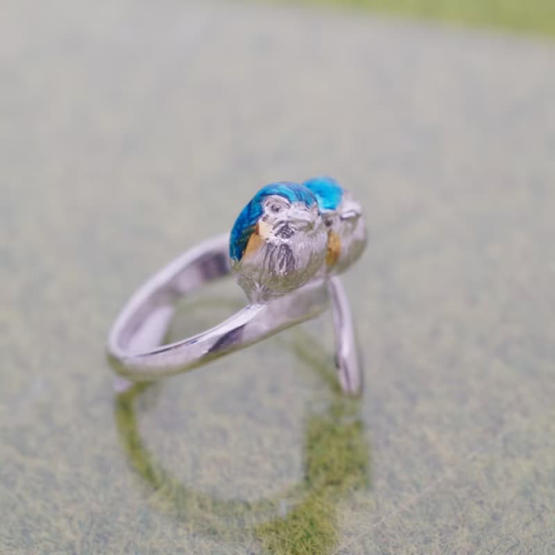 2羽のルリビタキリング