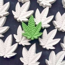 大麻葉擴香石/8件組