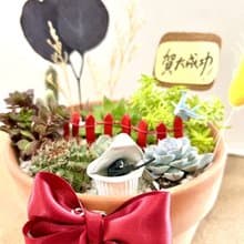 多肉組盆 多肉植物 日式枯山水 軍官 晉升送禮 禪意 軍人禮 生日