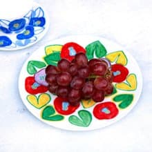 スマイルカメリアの色絵皿（磁器に上絵）