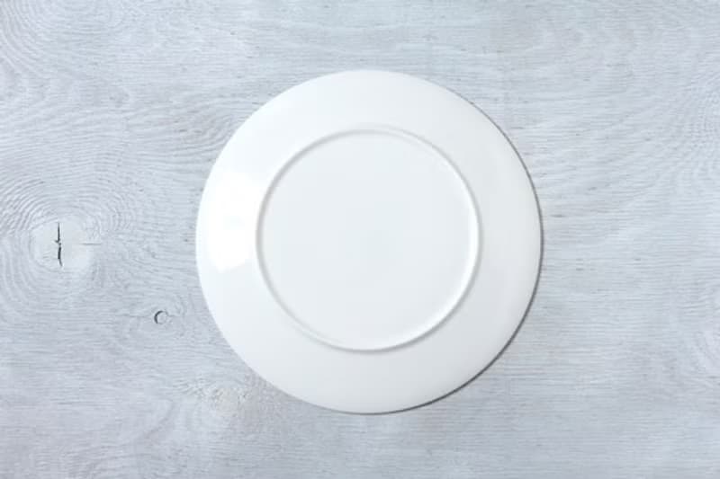 スマイルカメリアの色絵皿（磁器に上絵）