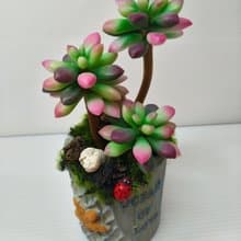 接單製作款/仿真盆栽多肉系列-吹雪之松錦
