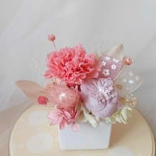 520畢業花束禮物 粉紫永生康乃馨盆花桌花  生日畢業工商企業贈品