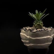 KO盆器- 金屬白三足盆