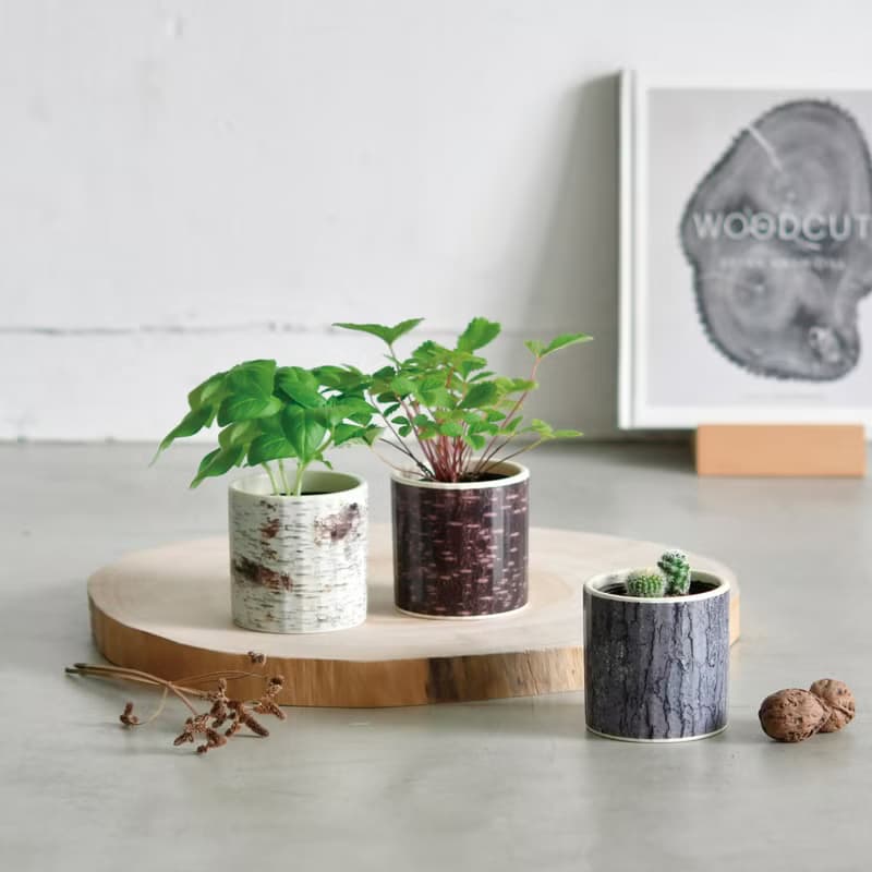 【新款上市】Wood & Green 木紋陶瓷栽培組系列
