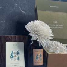 【新品】深雪黑雲杉 -溫潤而堅毅的冷冽森林系香氛 - 室內香氛